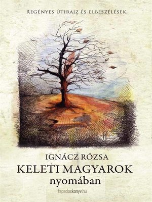 cover image of Keleti magyarok nyomában